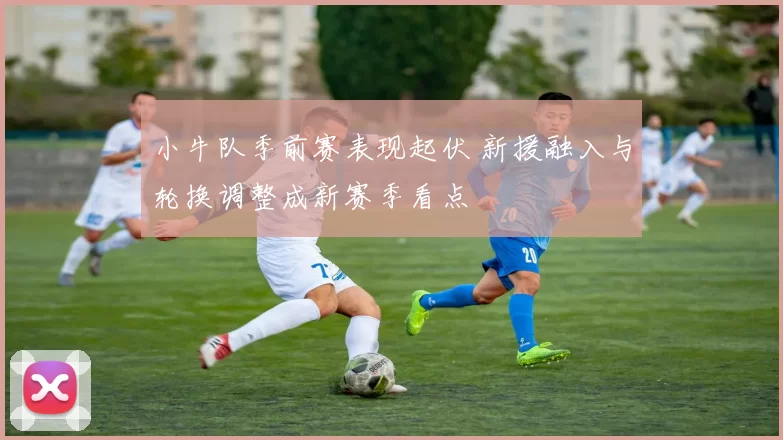 小牛队季前赛表现起伏 新援融入与轮换调整成新赛季看点