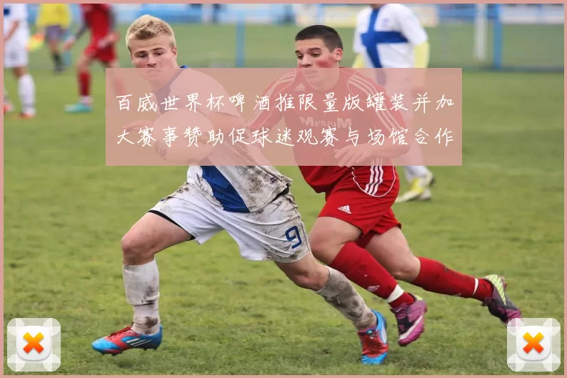 百威世界杯啤酒推限量版罐装并加大赛事赞助促球迷观赛与场馆合作升级