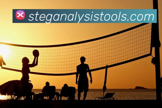 多媒体互动体验